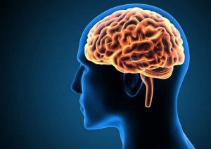 حقایق شگفت انگیز مغز انسان | شگفتیهای مغز انسان