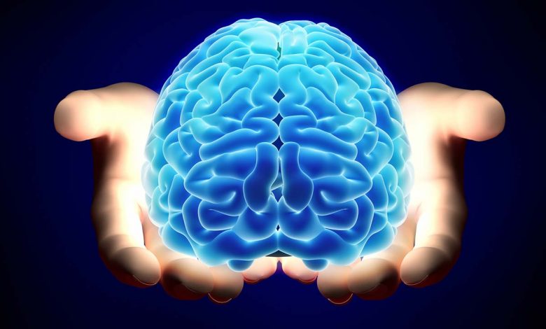 حقایق شگفت انگیز مغز انسان | شگفتیهای مغز انسان