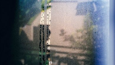 تصویر از 14 نکته برای کاهش رطوبت و بخار پنجره ها