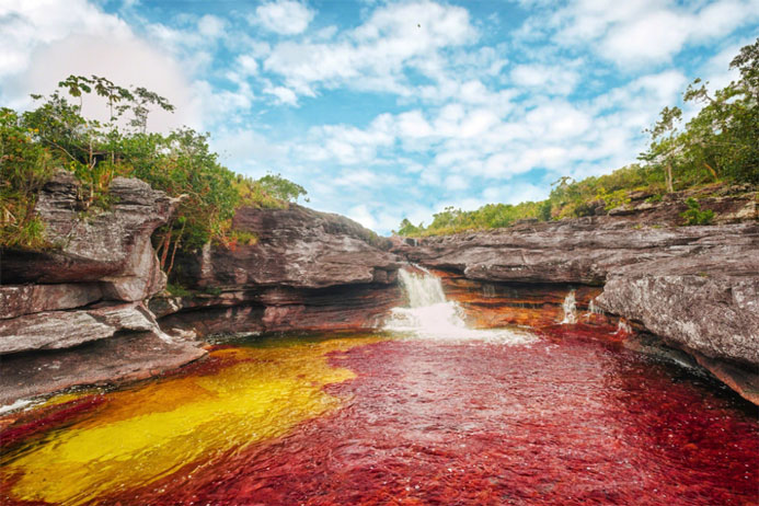 رودخانه پنج رنگ در کلمبیا