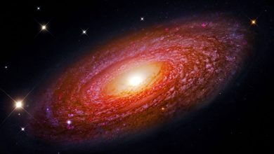 تصویر از کهکشان NGC 2841