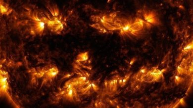 تصویر از دانشمندان فهمیدند که چگونه و چه زمانی خورشید ما می میرد